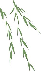 夏至养生重在健脾,夏至节气该如何解暑和养生