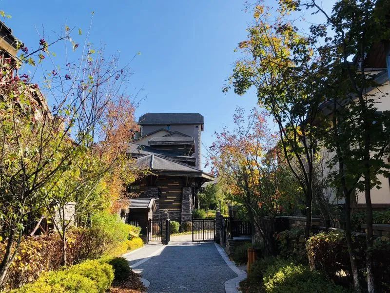 松鼠窝客栈长白山,松鼠专用窝保暖木屋