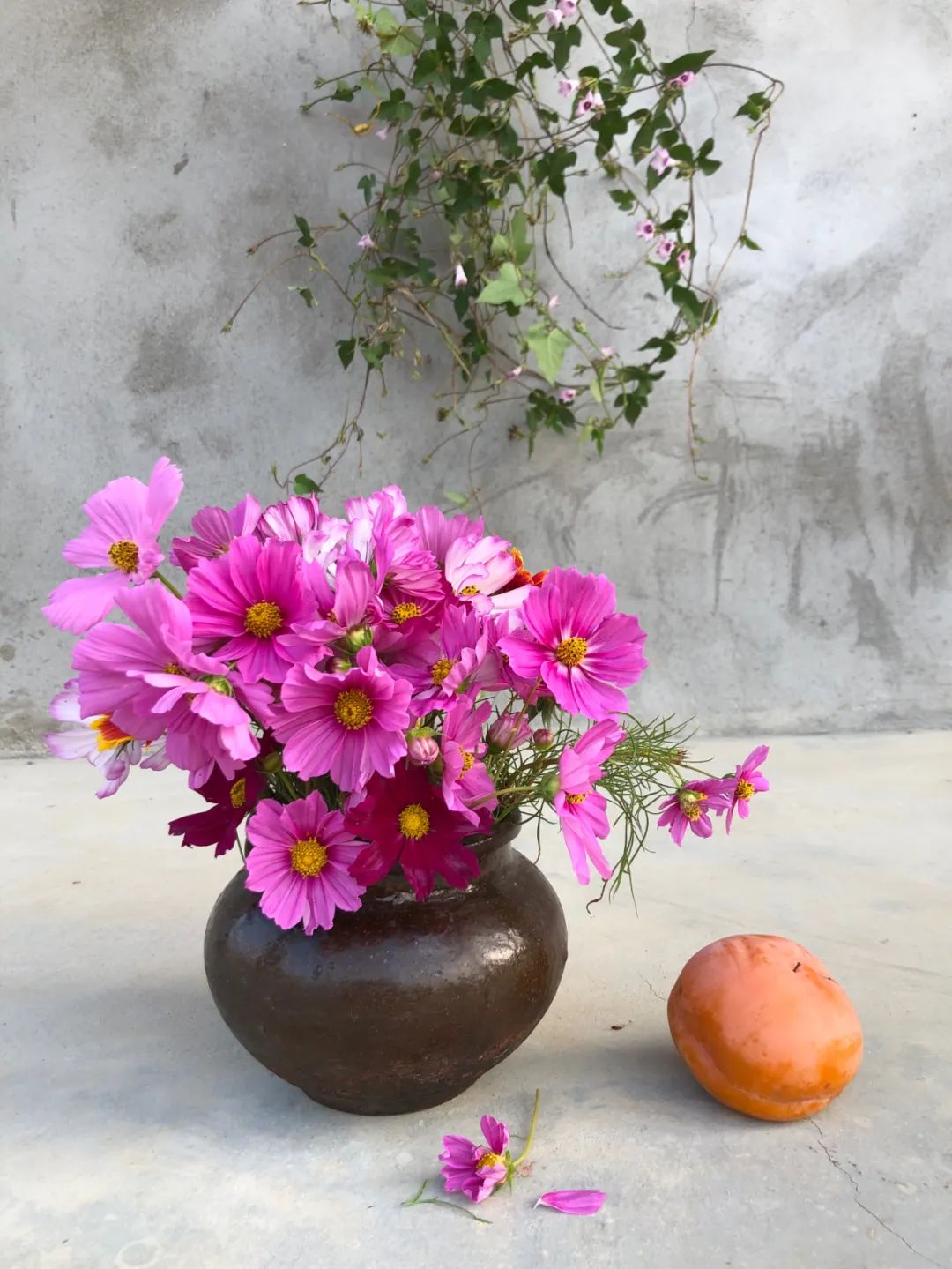 浅谈劳动安全,浅谈劳动教育1600字