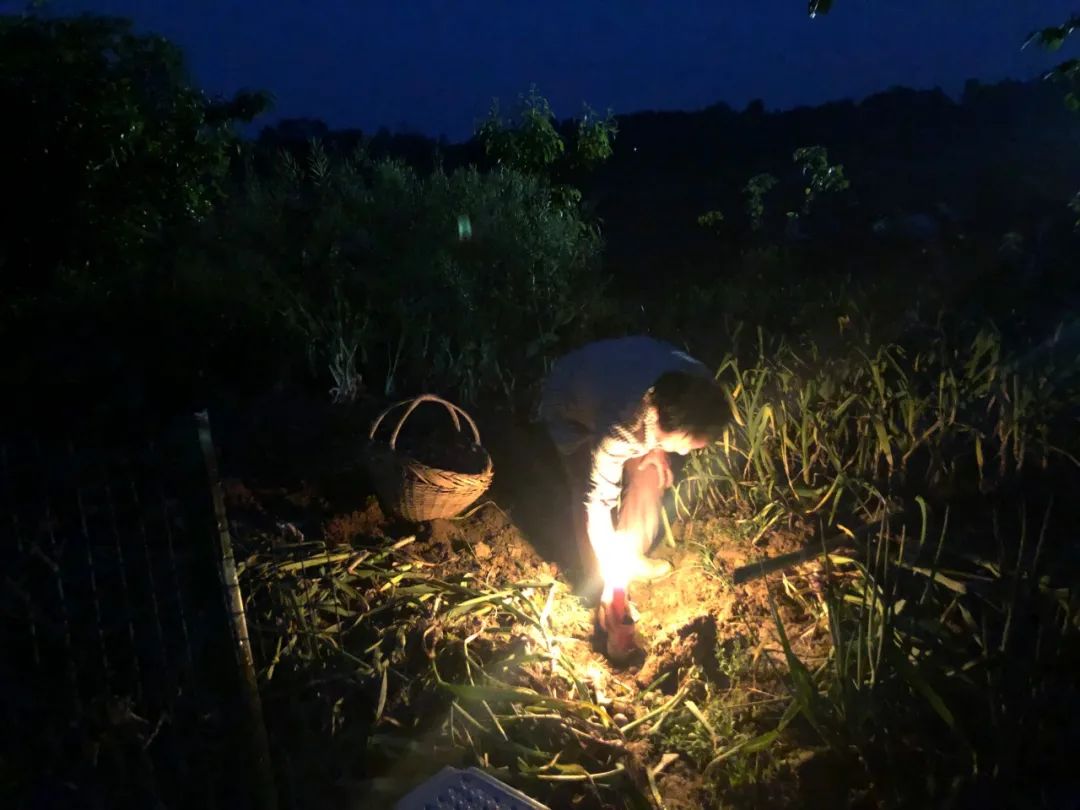 浅谈劳动安全,浅谈劳动教育1600字