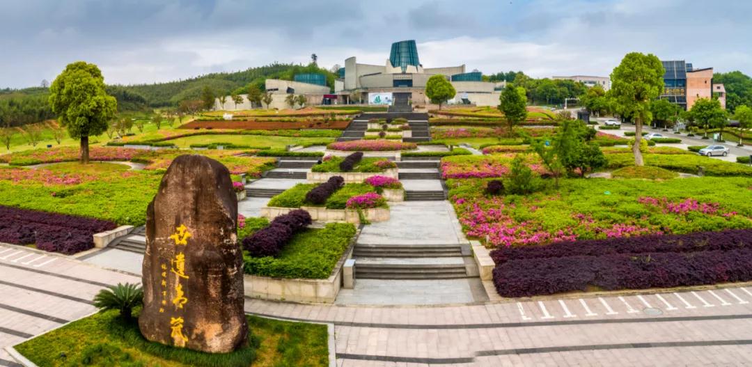 2019年7月20日丽水新闻,丽水新闻快讯