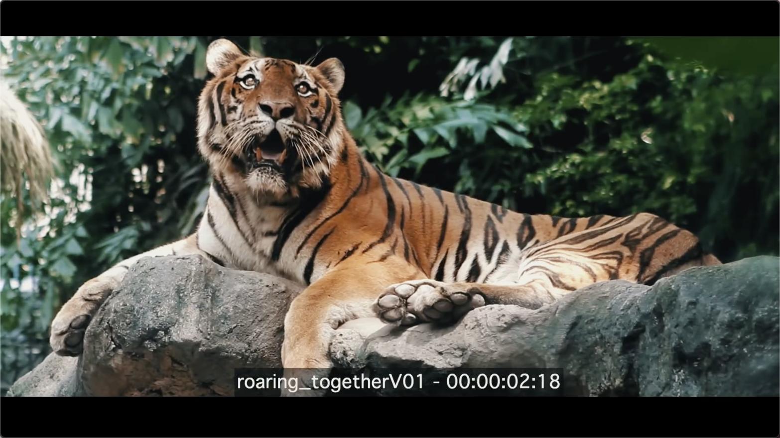 来自小贱贱的绝佳省钱广告，PPT工厂从此站起来了