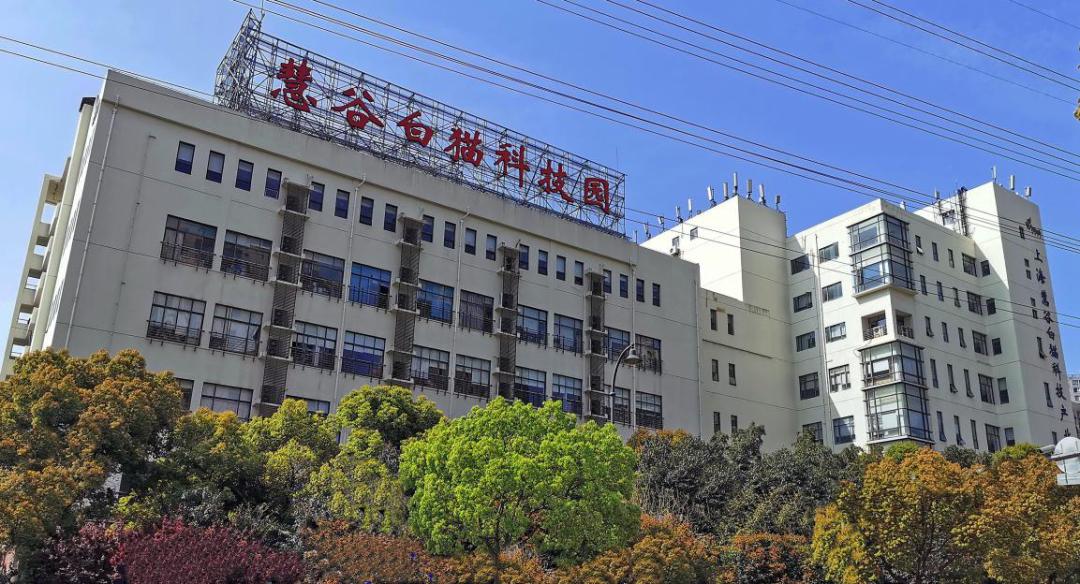 请比对！透过这些新老照片让你“穿越”长宁……