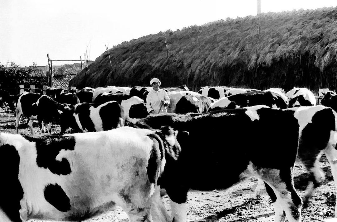 请比对！透过这些新老照片让你“穿越”长宁……