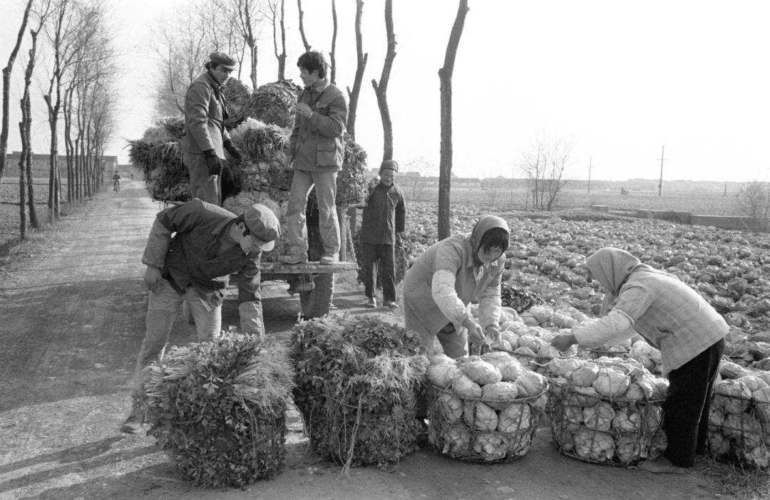 请比对！透过这些新老照片让你“穿越”长宁……