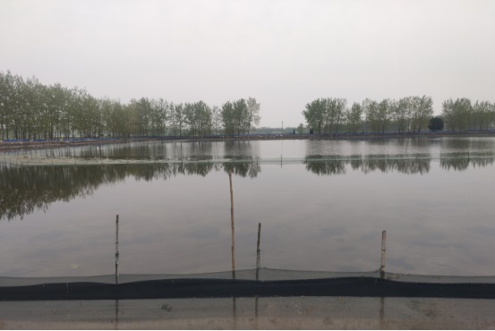 河蟹生态养殖技术与示范推广,河蟹养殖技术最新