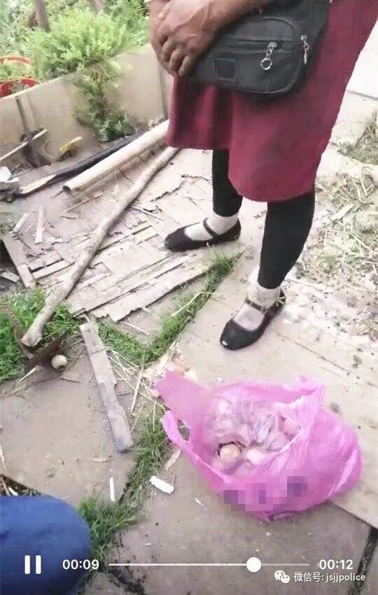 提醒丨这种花，种了就抓