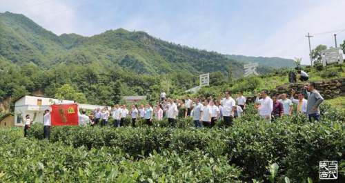 “一肩挑”不是“一言堂“，村干部权大了怎么办？