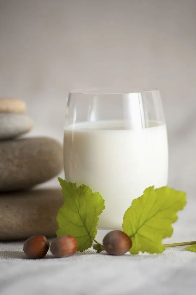 护胃牛奶,保护肠胃牛奶