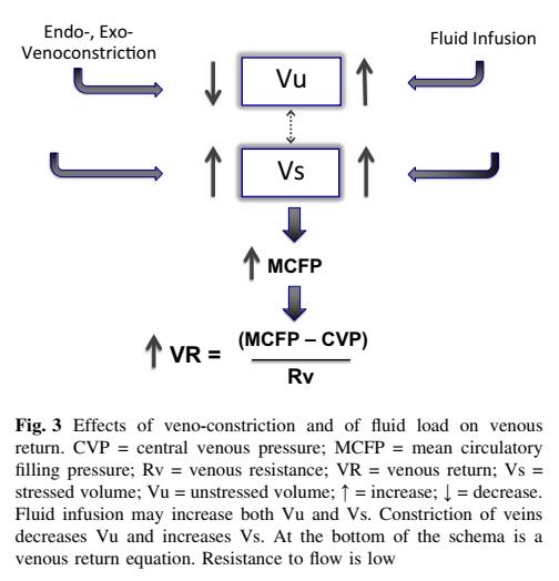 争议不断的目标导向液体治疗：那些“目标”背后的生理学