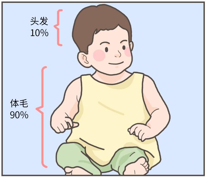 漫画科普冷知识,漫画夏天所反映了什么内容