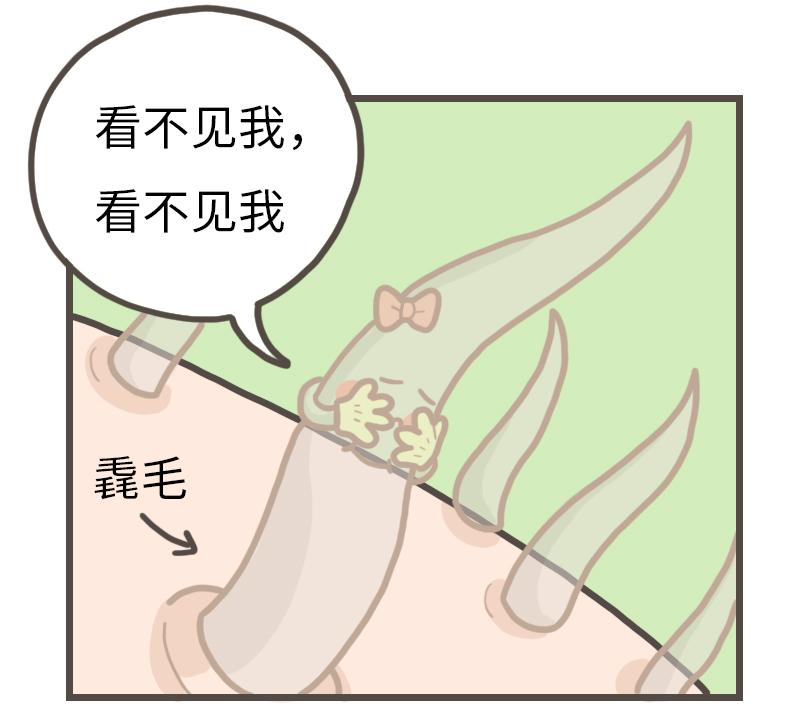 漫画科普冷知识,漫画夏天所反映了什么内容