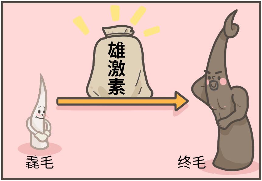 漫画科普冷知识,漫画夏天所反映了什么内容