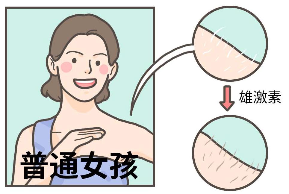 漫画科普冷知识,漫画夏天所反映了什么内容