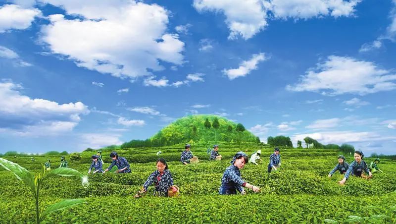 天府旅游名县创建|巴中南江：脱贫攻坚步履铿锵全域旅游持续发力