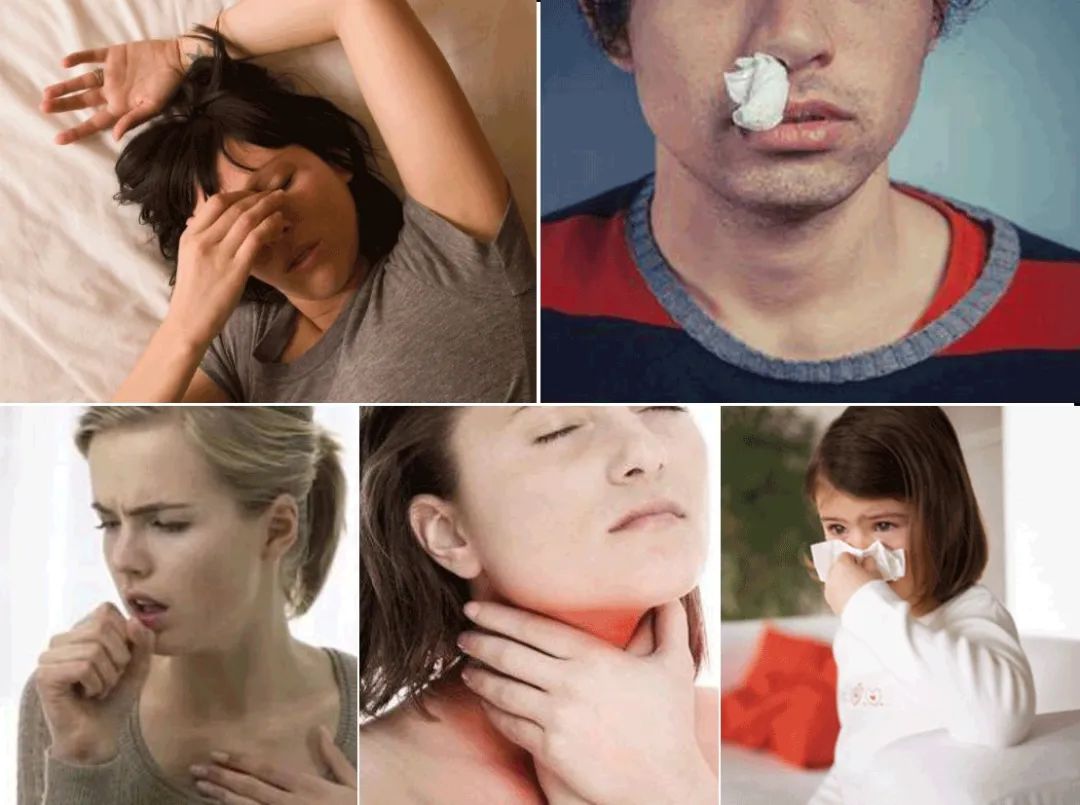 除发霉的霉菌,除霉剂真的能消除霉菌吗