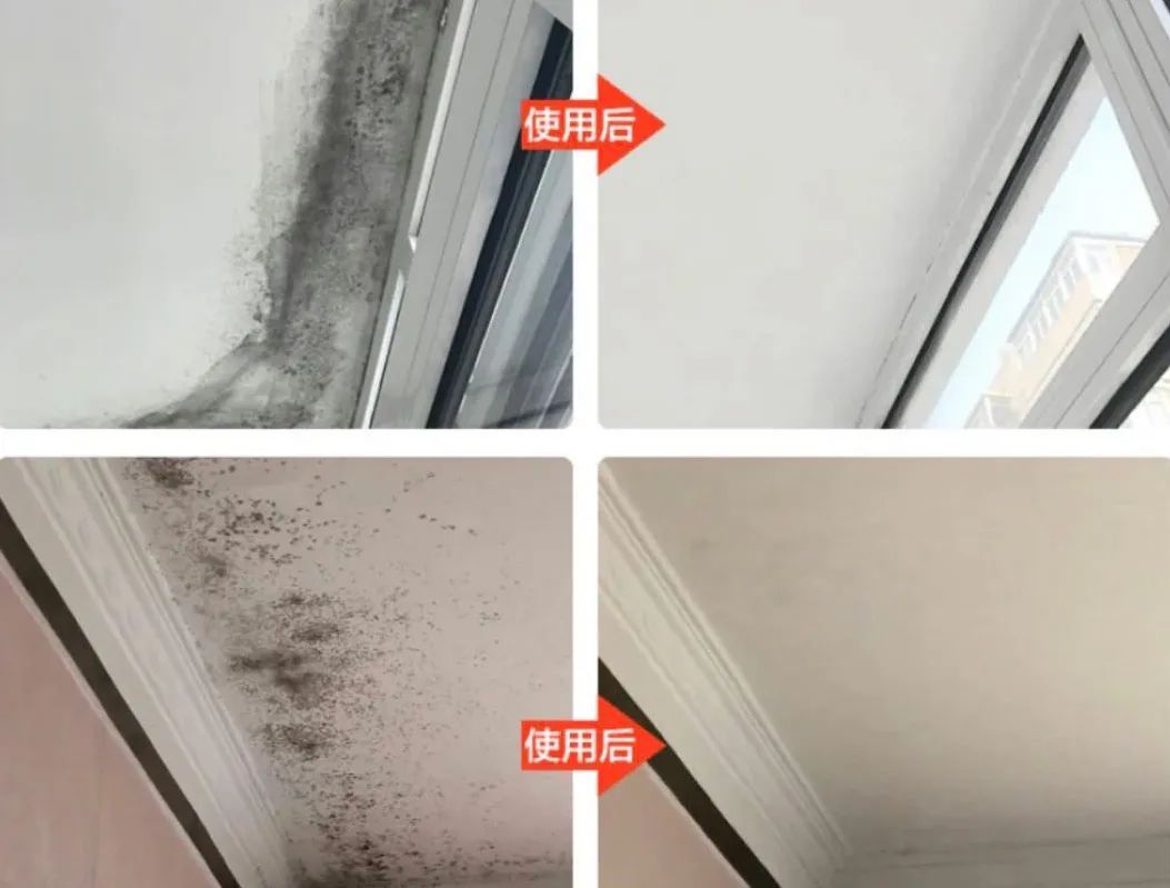 除发霉的霉菌,除霉剂真的能消除霉菌吗