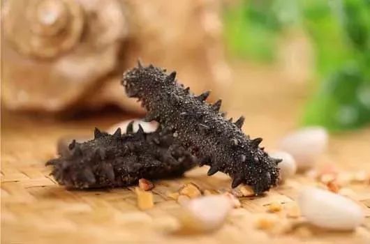 海参市场的真实现状,震惊正宗海参竟卖这么低的价格