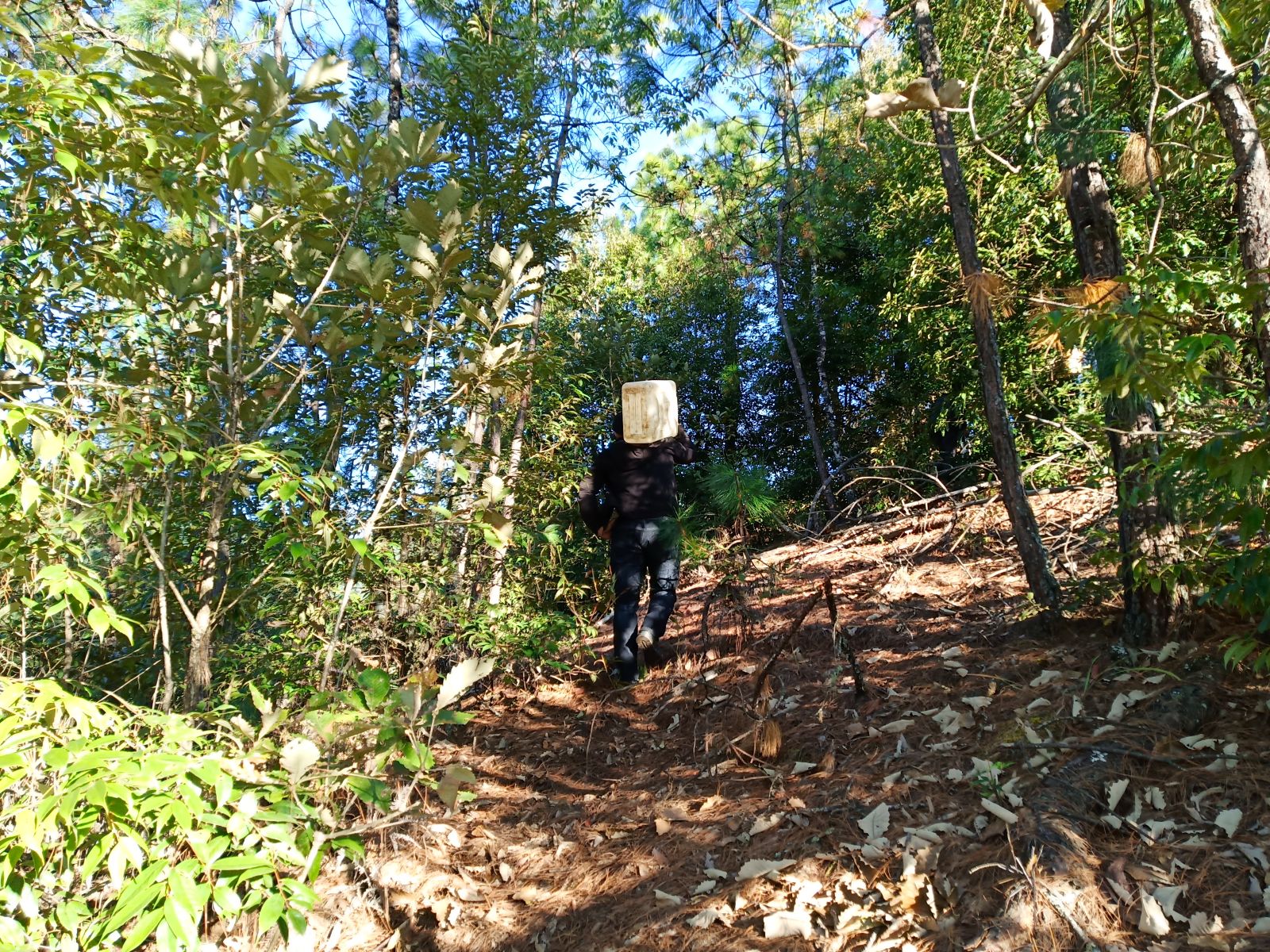 温暖保山：绰号叫“憨巴”，但是我的二叔一点都不憨