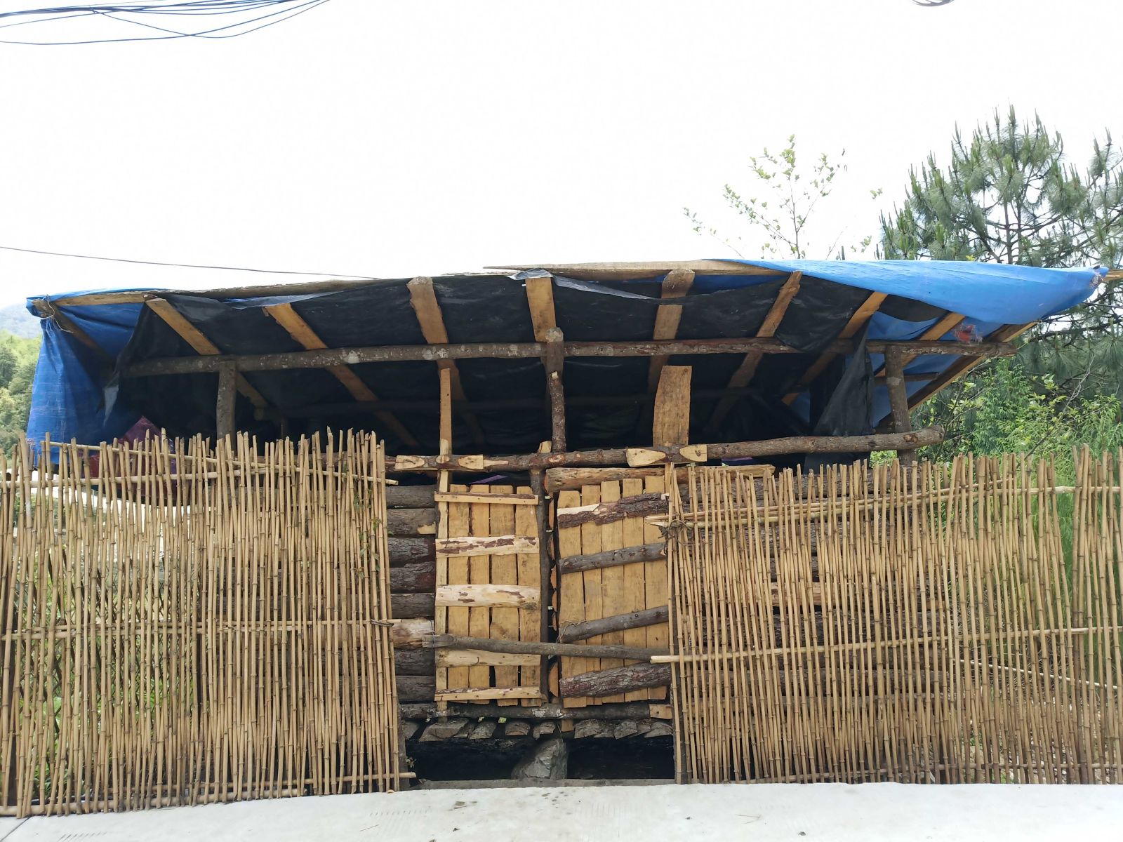 温暖保山：绰号叫“憨巴”，但是我的二叔一点都不憨