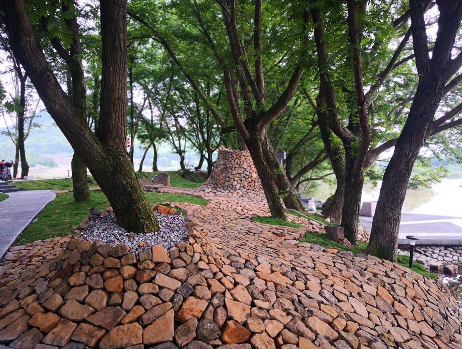 2019年7月20日丽水新闻,丽水新闻快讯