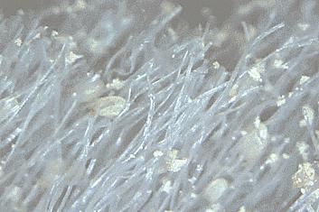 这床夏凉被，一盖就凉，不开空调也很爽