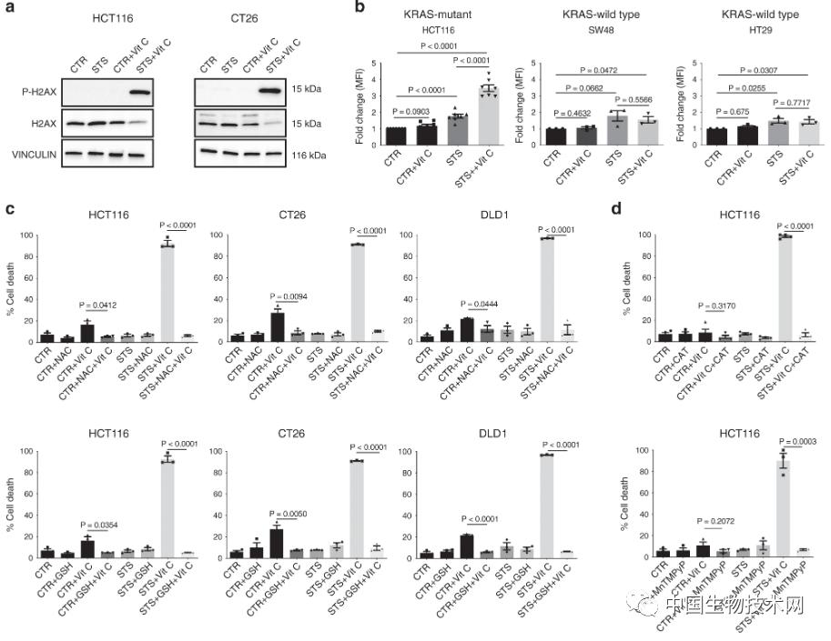 “模拟禁食法”团队再获突破！与低毒*药性**物结合可治疗某些癌症