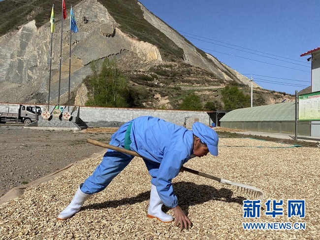 岷县到合作路线,岷县到合作怎么走