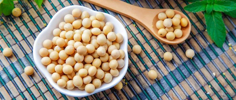 乳腺癌康复期吃奶酪好吗,乳腺癌康复十年后复发的症状