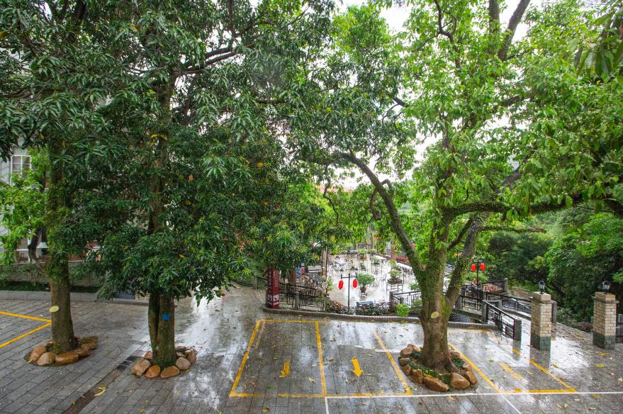 肇庆鼎湖山周边便宜的酒店,肇庆鼎湖山景区住宿