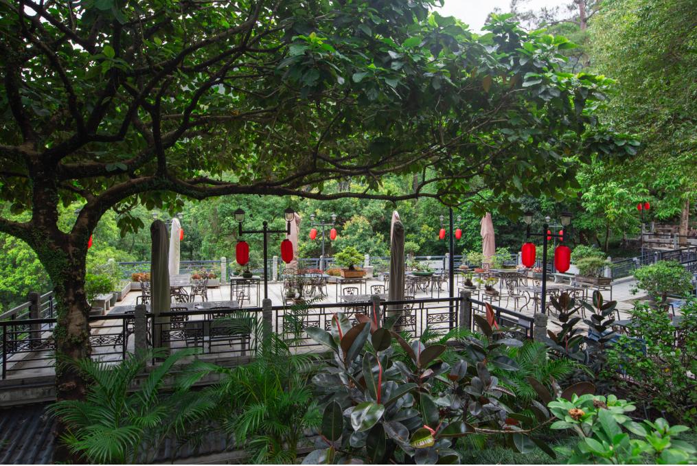 肇庆鼎湖山周边便宜的酒店,肇庆鼎湖山景区住宿