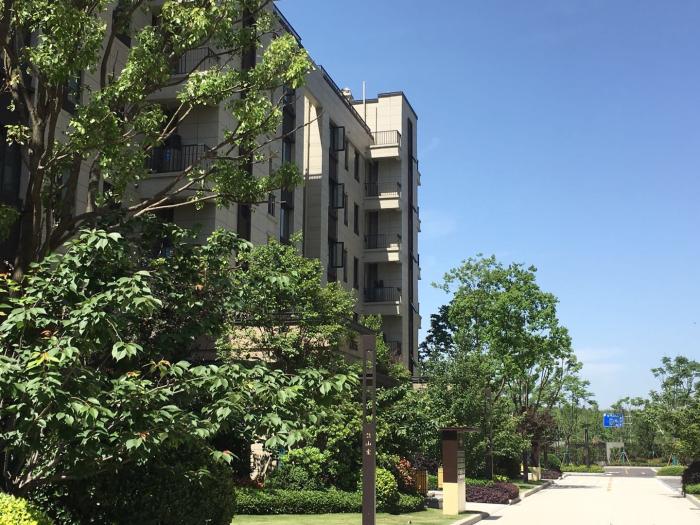 五一热销楼盘探盘,五桥哪个楼盘性价比最高