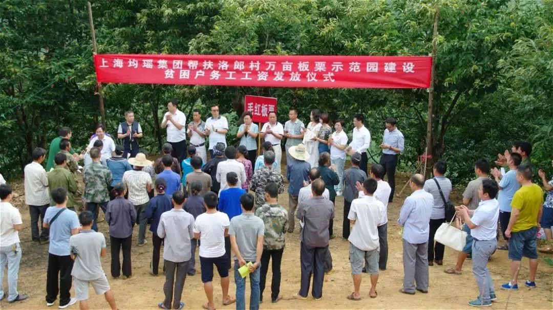 王均豪科技赋能中国智造,王均豪成功之路