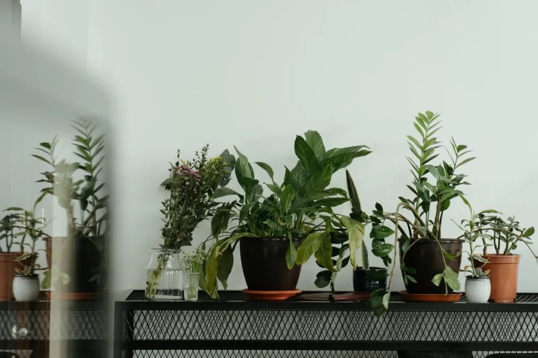 积极选择手术或有创性治疗方法|《更年期的智慧》第八章第6节