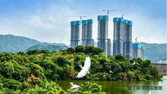 南山前海和西丽,西丽和前海哪个发展好