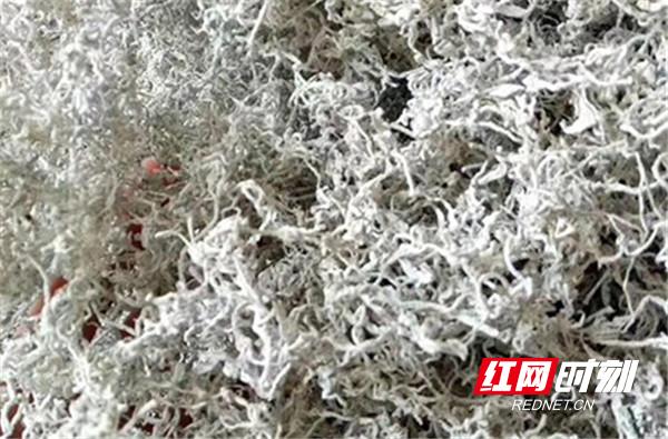 郴州嘉禾县野生小莓茶,嘉禾莓茶