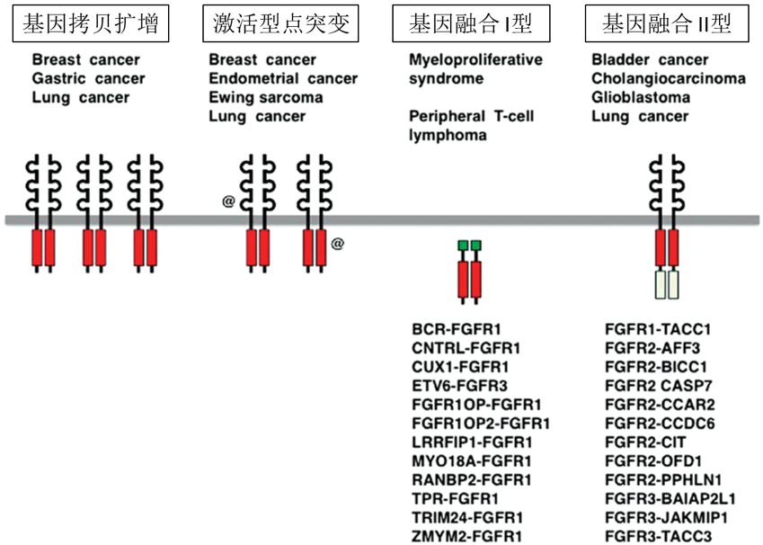 这个靶向药让她重拾抗癌信心,抗癌新药最新信息