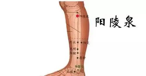 脾胃不好胃口差？按摩身体这5个穴位，让你远离脾胃虚弱