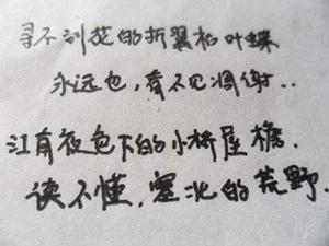 罗志祥的作文大全,点评罗志祥小作文