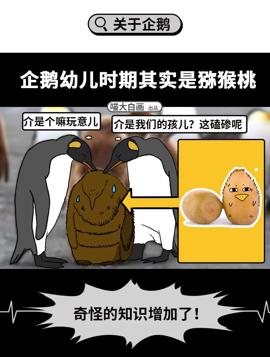 小问号你是否有很多朋友系列的梗,小问号你是否有很多朋友的梗