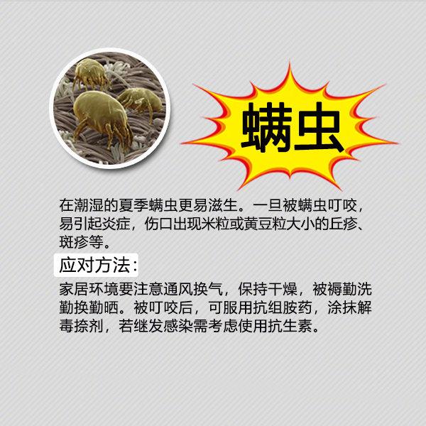 夏季粮食防虫小妙招,夏季防虫小妙招