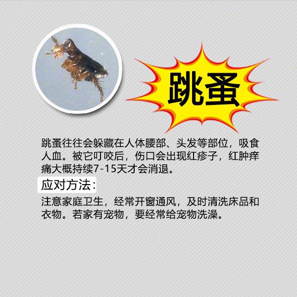 夏季粮食防虫小妙招,夏季防虫小妙招