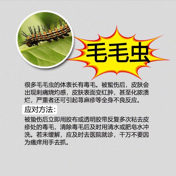 夏季粮食防虫小妙招,夏季防虫小妙招