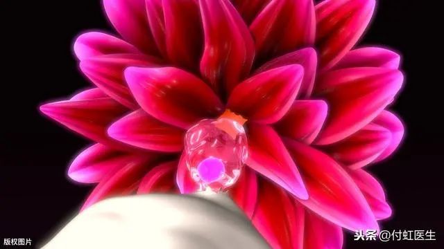 27岁月经乱了FSH两次升高，我卵巢早衰了吗？