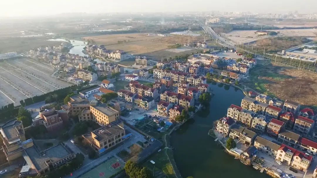 枫泾枫美路改造,青浦枫泾古镇