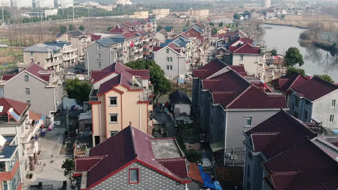 枫泾枫美路改造,青浦枫泾古镇