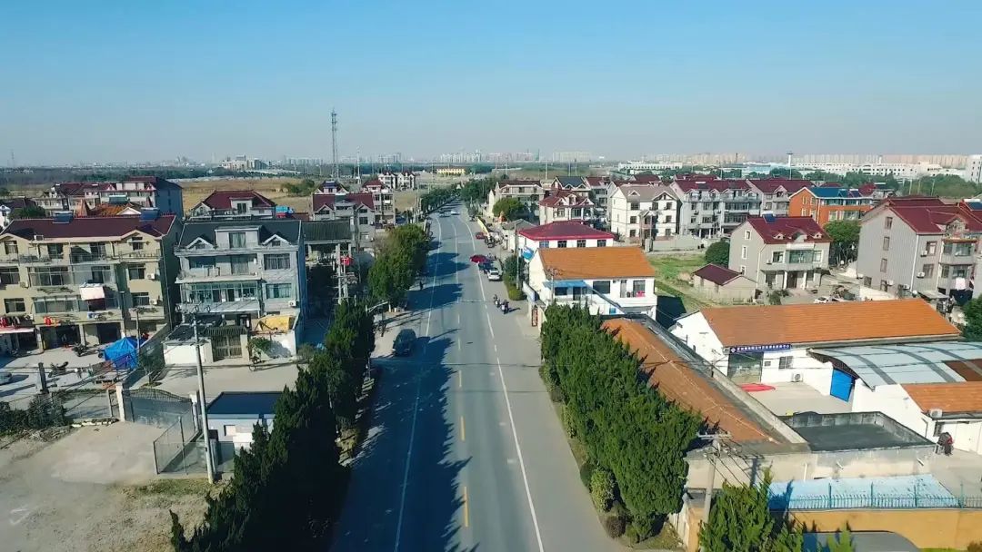 枫泾枫美路改造,青浦枫泾古镇