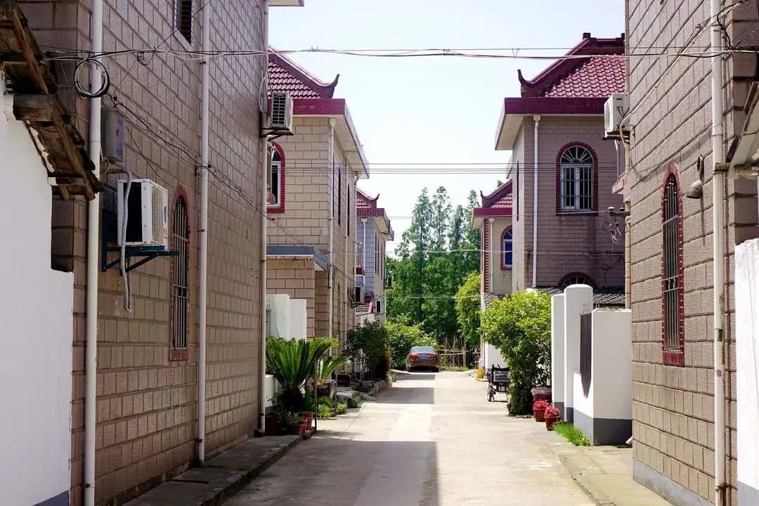 枫泾枫美路改造,青浦枫泾古镇