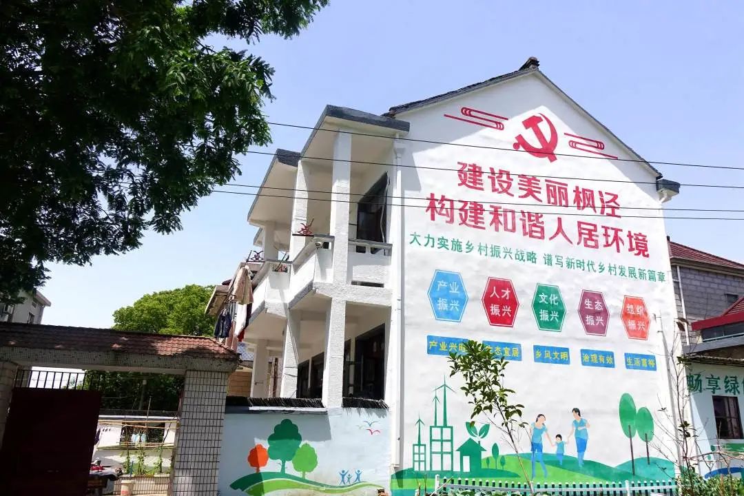 枫泾枫美路改造,青浦枫泾古镇