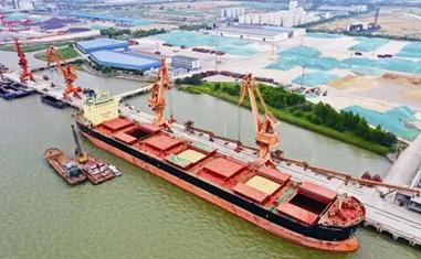 记者采访水稻育苗新闻稿,江苏华穗粮食有限公司